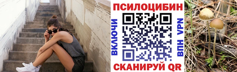 как найти наркотики Евпатория Галлюциногенные грибы прущие грибы