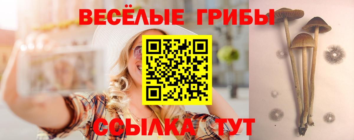 Псилоцибиновые грибы MAGIC MUSHROOMS Евпатория